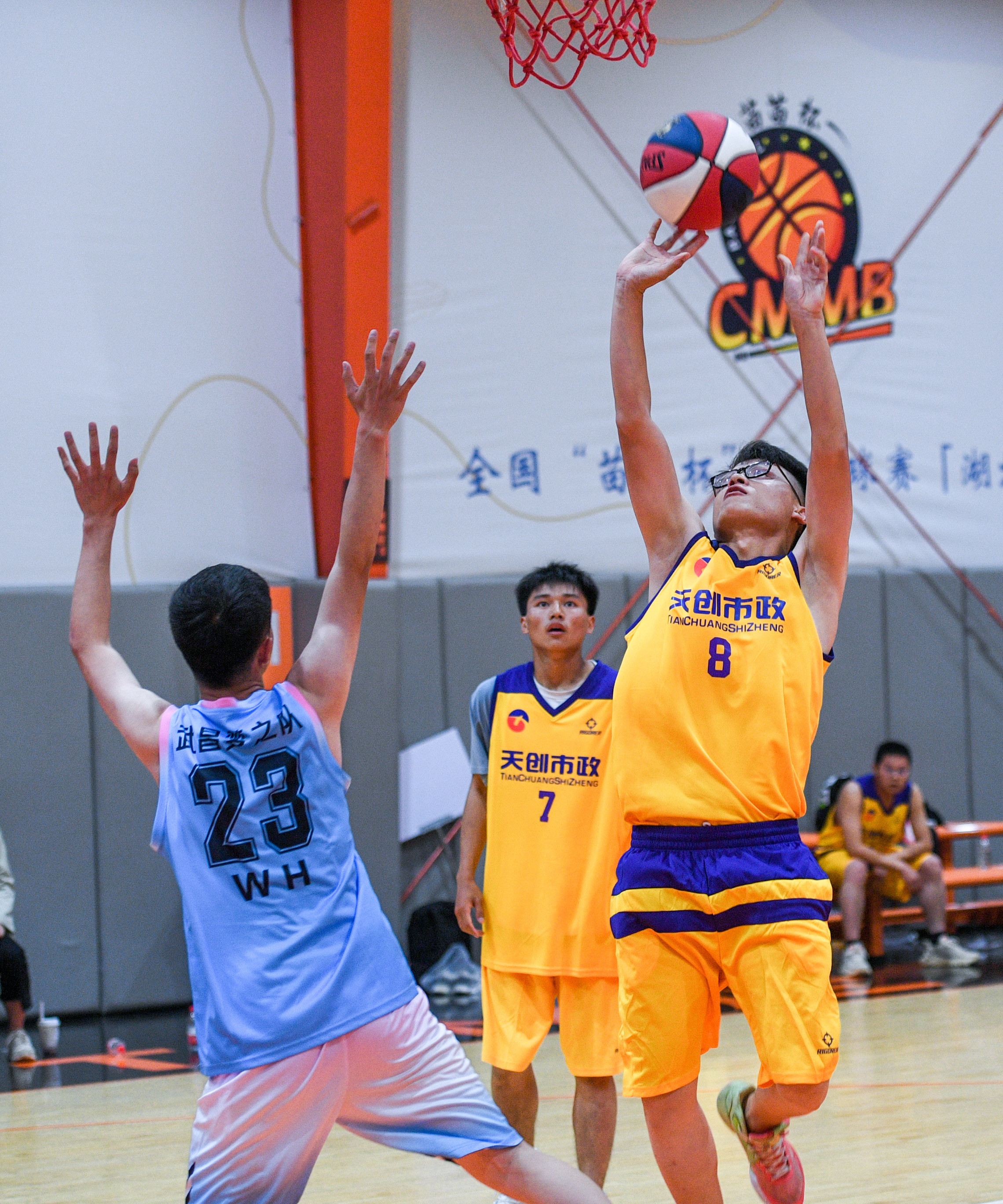 ���Ź����217��(�й���)����