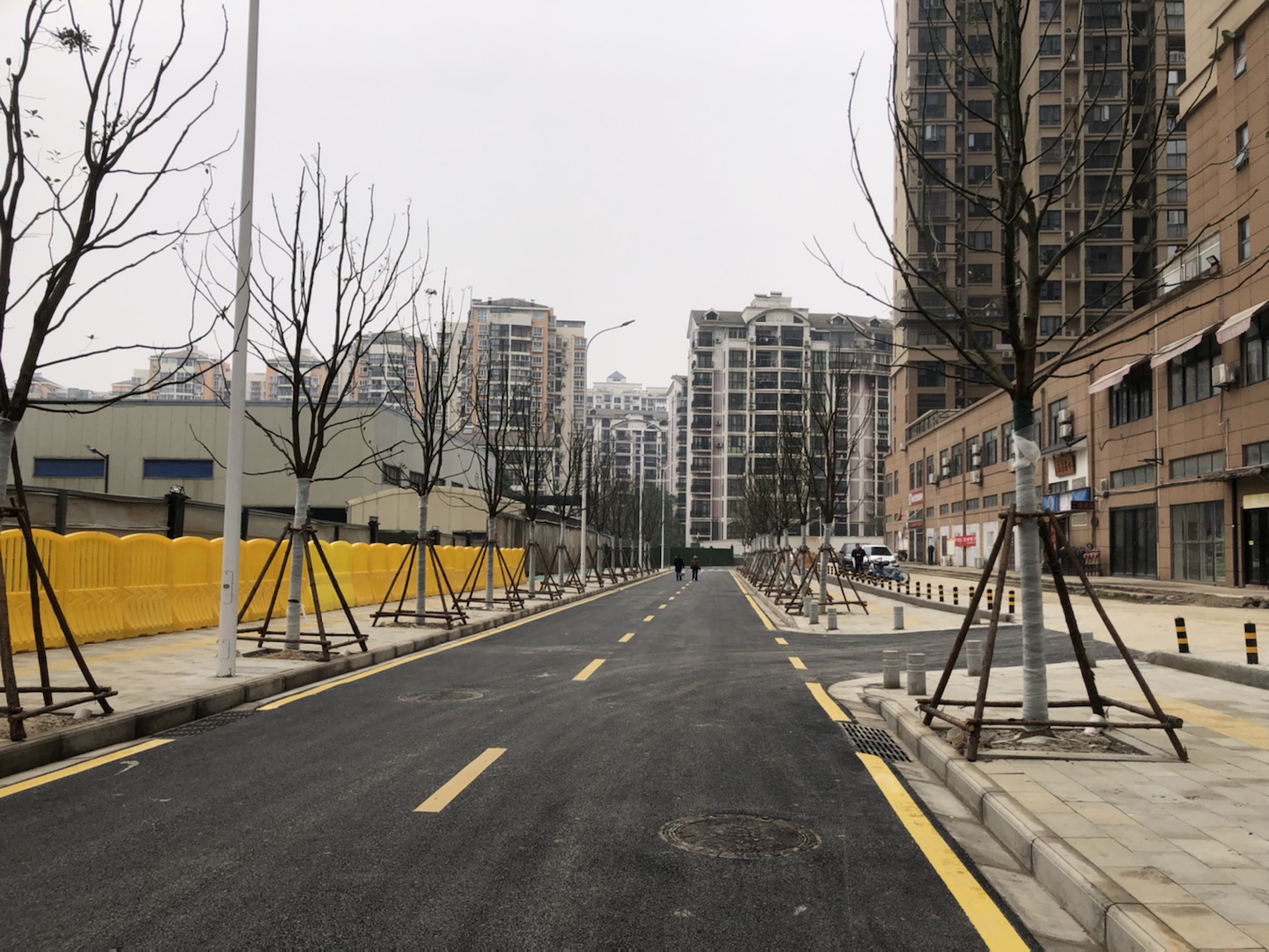 ���Ź����217��(�й���)����