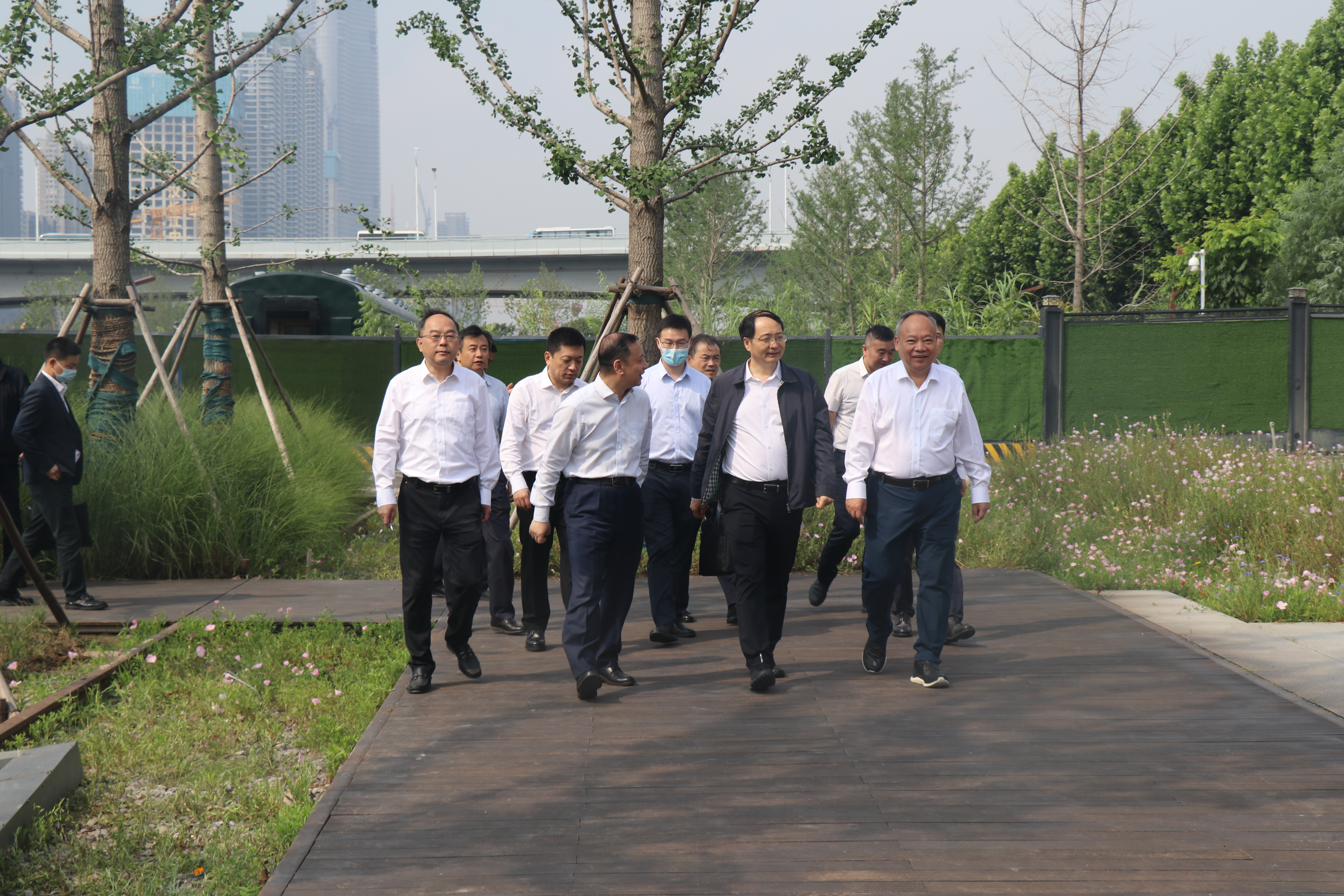 ���Ź����217��(�й���)����