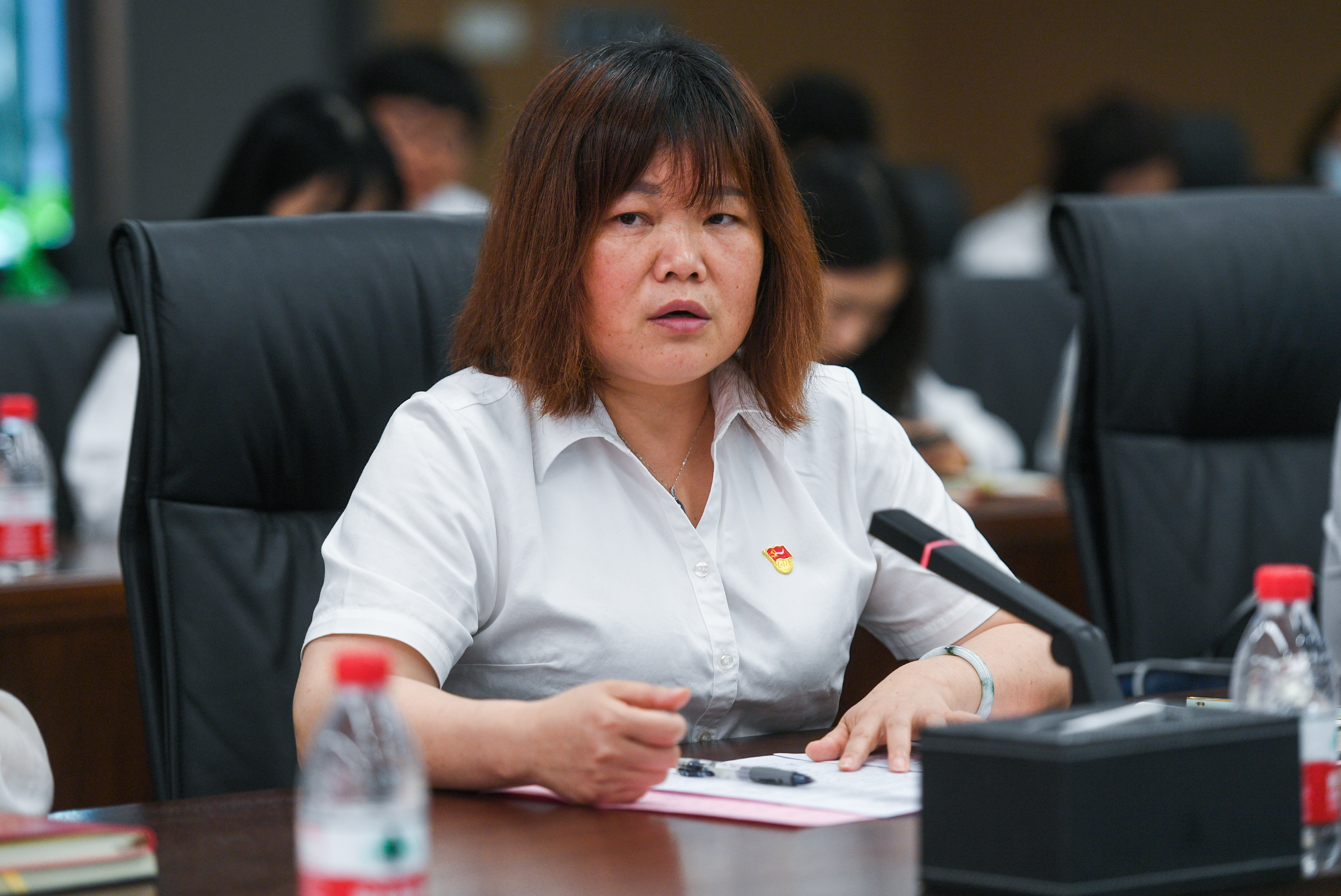 ���Ź����217��(�й���)����