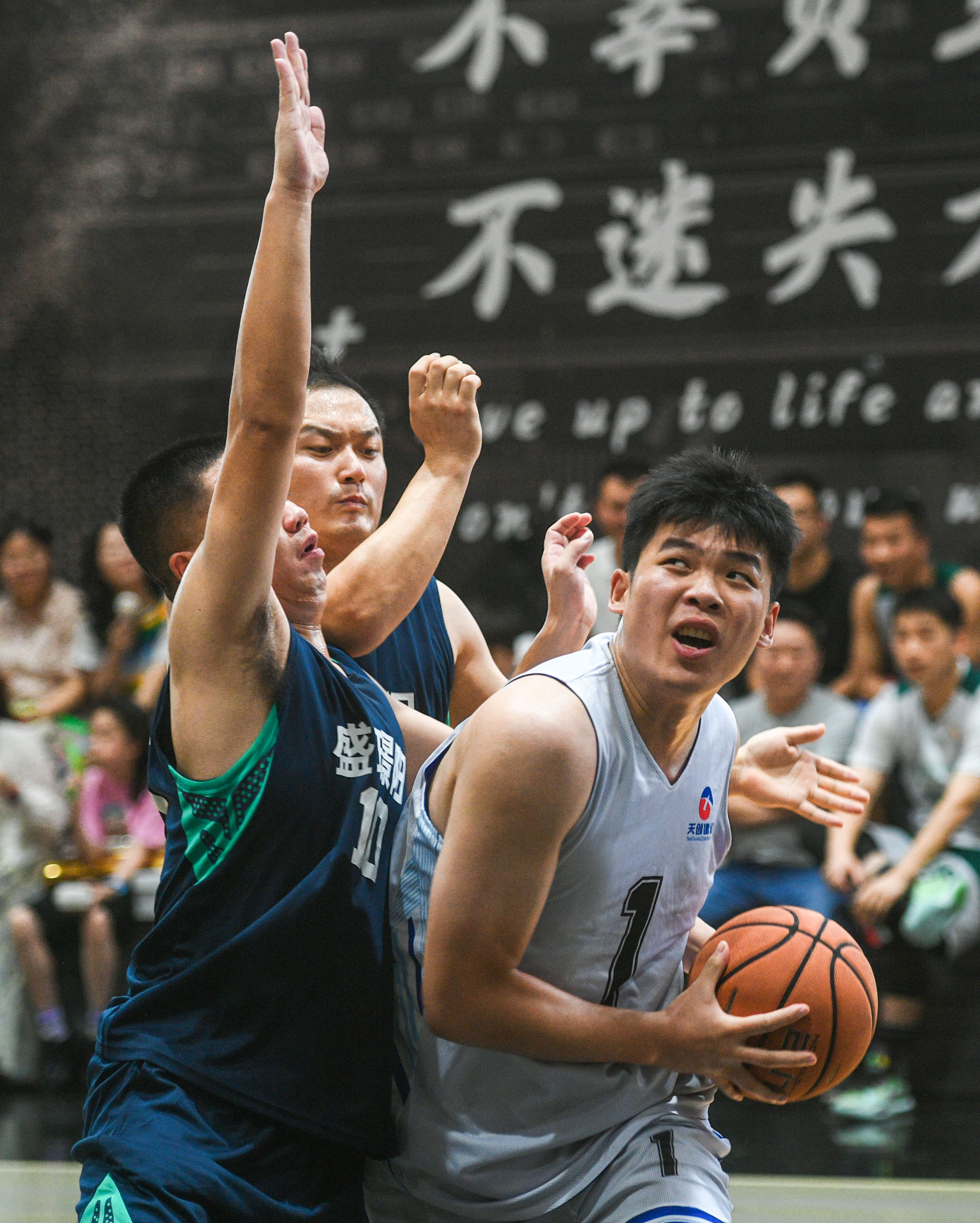 ���Ź����217��(�й���)����