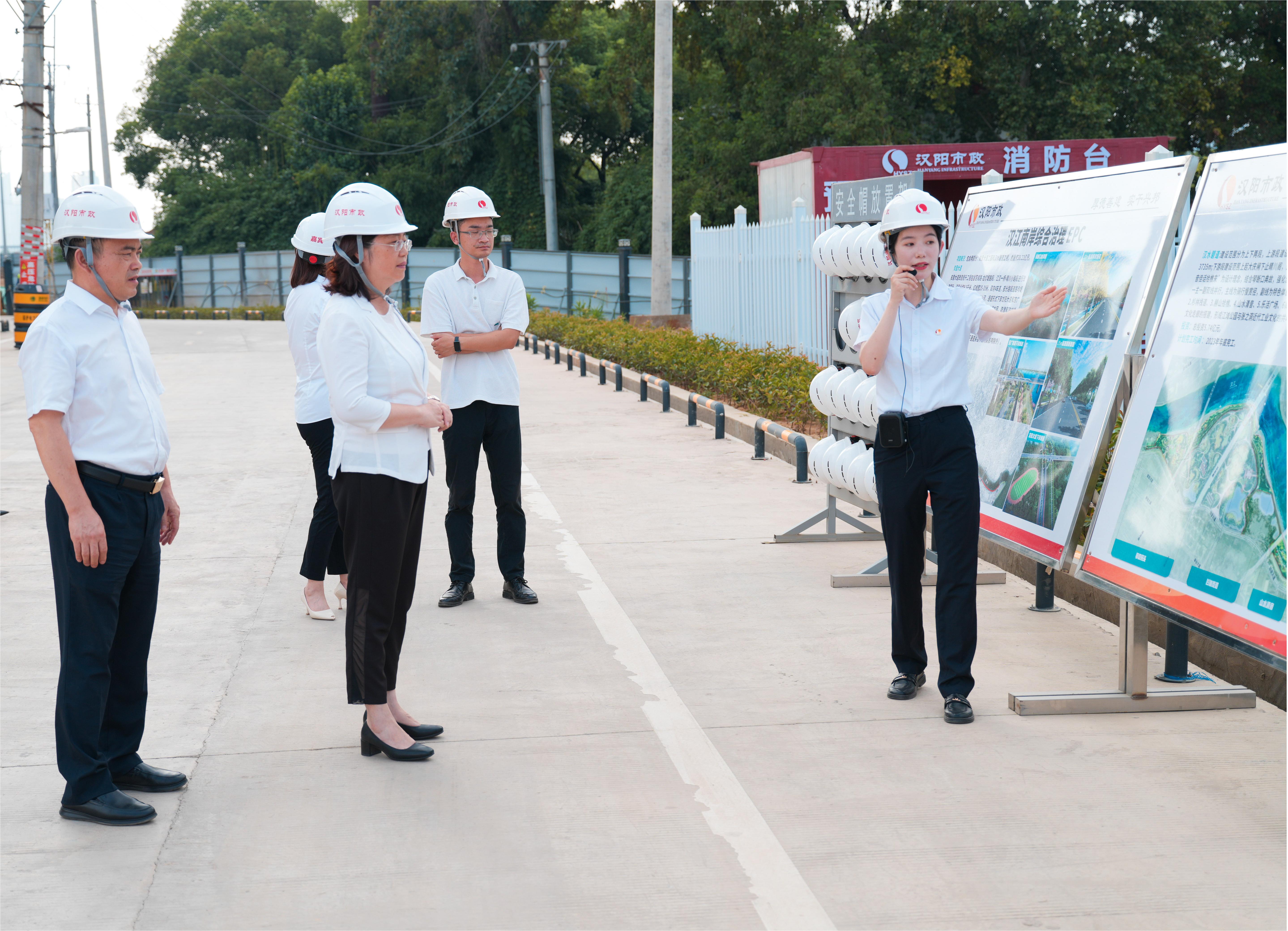 ���Ź����217��(�й���)����