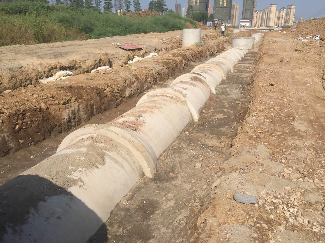 ���Ź����217��(�й���)����