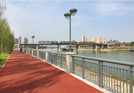 ���Ź����217��(�й���)����