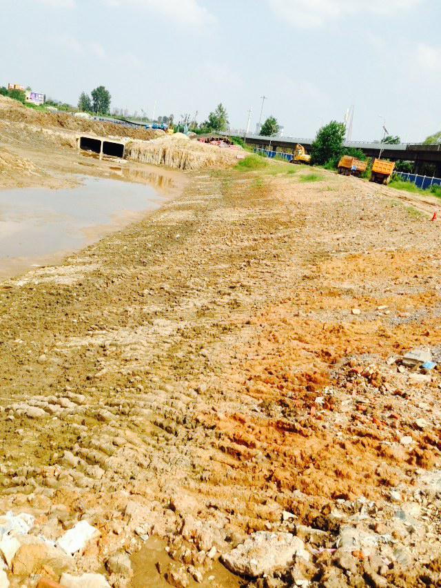 ���Ź����217��(�й���)����