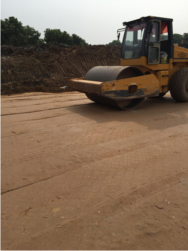 ���Ź����217��(�й���)����