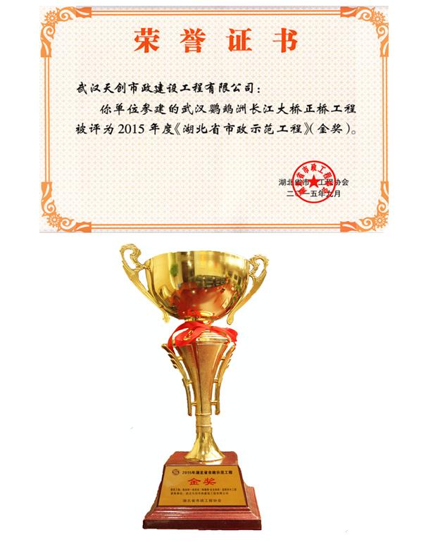 ���Ź����217��(�й���)����