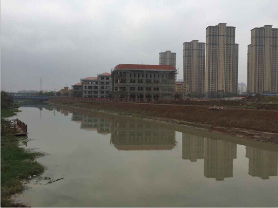 ���Ź����217��(�й���)����