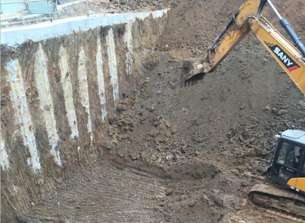 ���Ź����217��(�й���)����