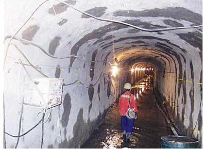 ���Ź����217��(�й���)����