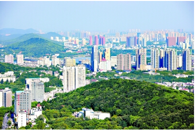 ���Ź����217��(�й���)����