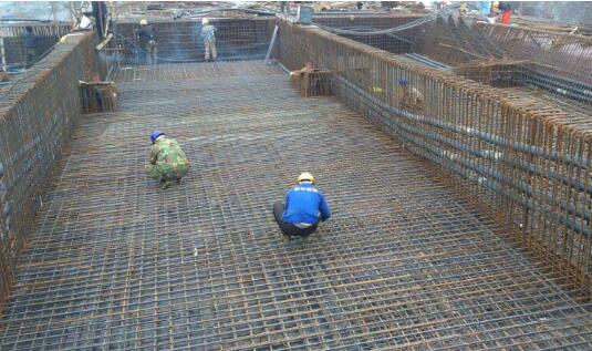 ���Ź����217��(�й���)����