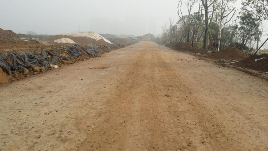 ���Ź����217��(�й���)����