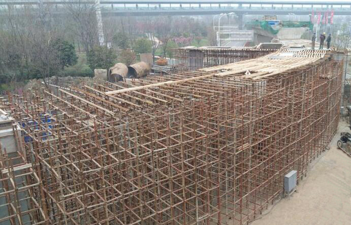 ���Ź����217��(�й���)����