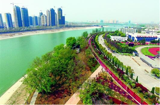 ���Ź����217��(�й���)����