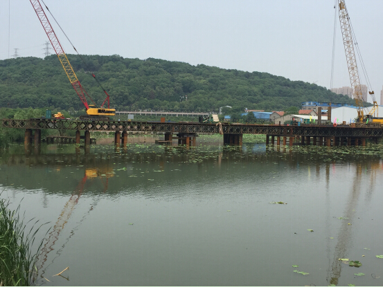 ���Ź����217��(�й���)����