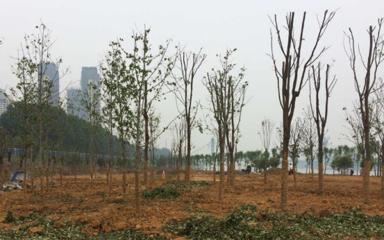 ���Ź����217��(�й���)����