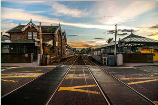 ���Ź����217��(�й���)����