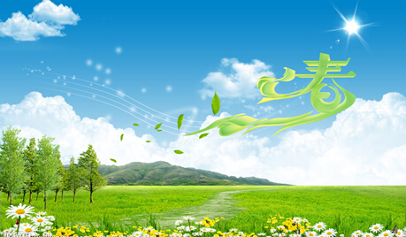 ���Ź����217��(�й���)����