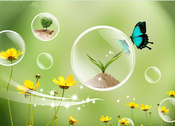 ���Ź����217��(�й���)����