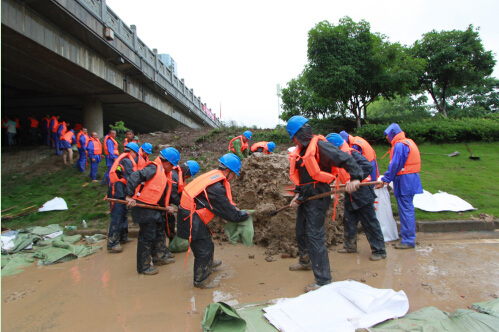 ���Ź����217��(�й���)����