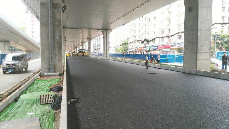 ���Ź����217��(�й���)����