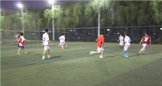 ���Ź����217��(�й���)����