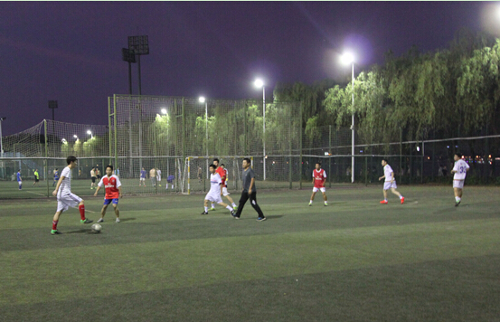 ���Ź����217��(�й���)����