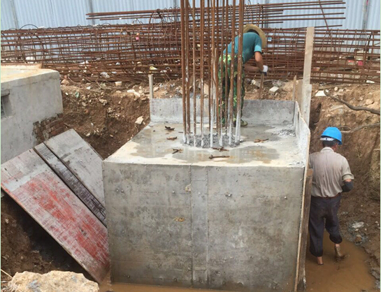 ���Ź����217��(�й���)����