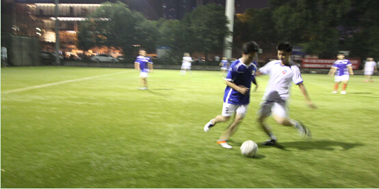 ���Ź����217��(�й���)����