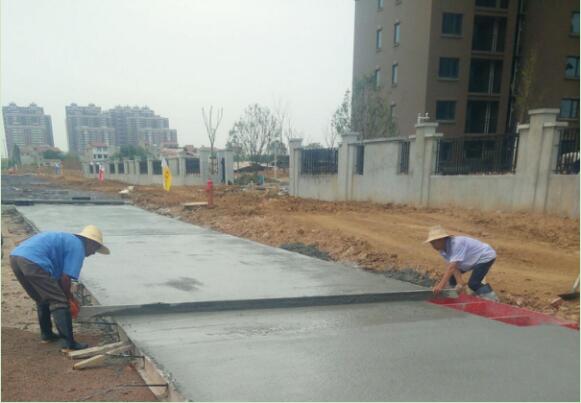 ���Ź����217��(�й���)����