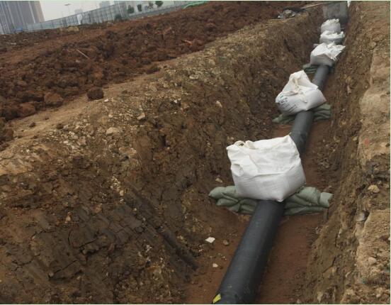 ���Ź����217��(�й���)����