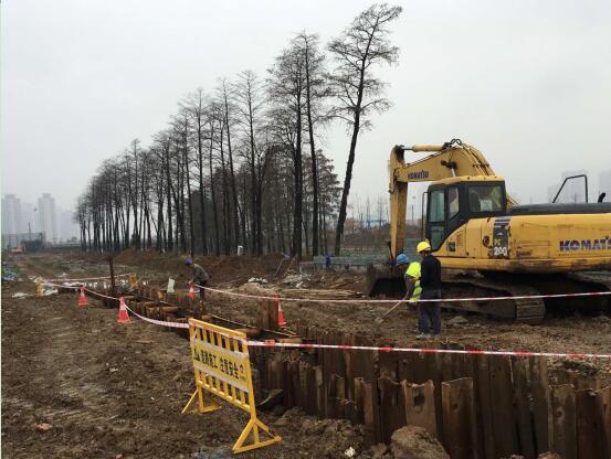 ���Ź����217��(�й���)����