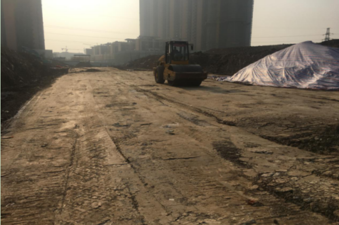 ���Ź����217��(�й���)����