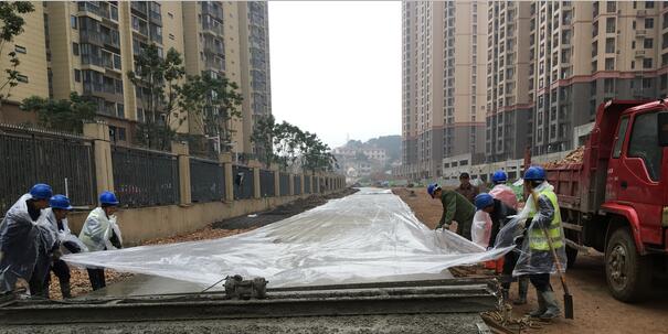 ���Ź����217��(�й���)����