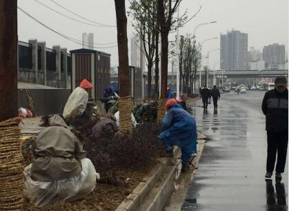 ���Ź����217��(�й���)����