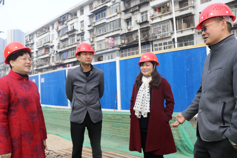 ���Ź����217��(�й���)����