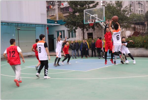 ���Ź����217��(�й���)����