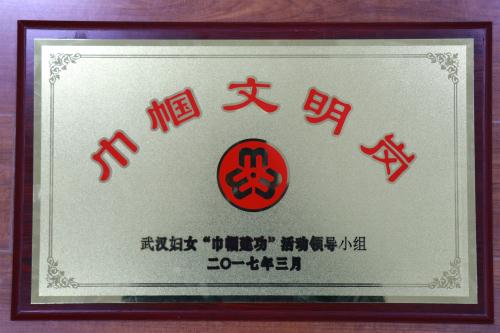 ���Ź����217��(�й���)����