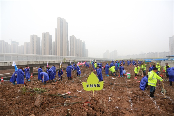 ���Ź����217��(�й���)����