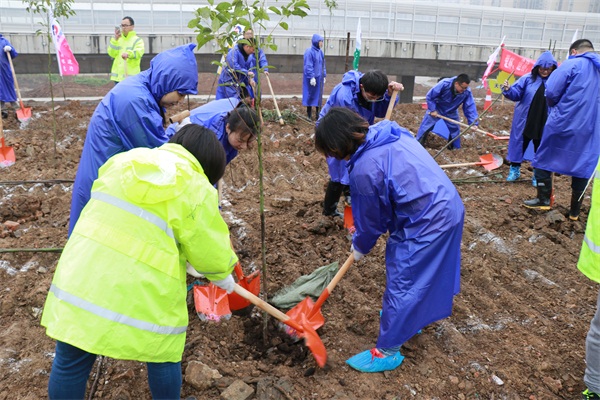 ���Ź����217��(�й���)����