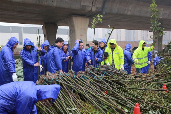 ���Ź����217��(�й���)����