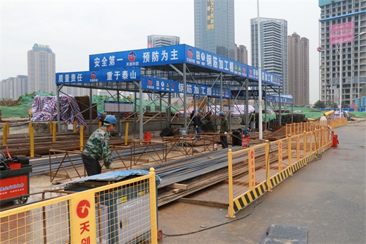 ���Ź����217��(�й���)����