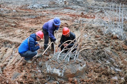 ���Ź����217��(�й���)����