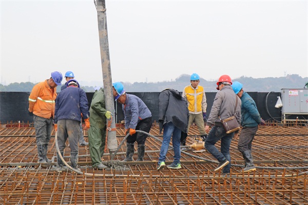 ���Ź����217��(�й���)����