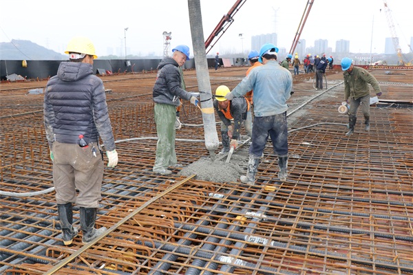 ���Ź����217��(�й���)����