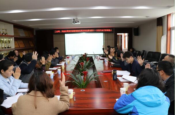 ���Ź����217��(�й���)����