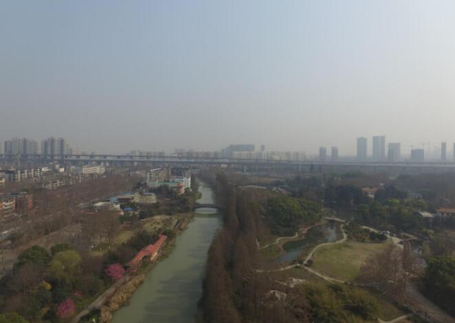 ���Ź����217��(�й���)����