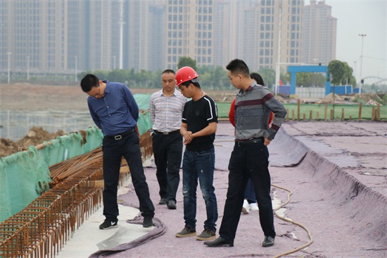 ���Ź����217��(�й���)����