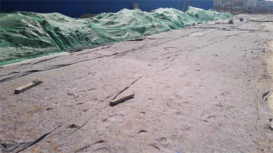 ���Ź����217��(�й���)����